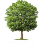 无限资源1页 48da803