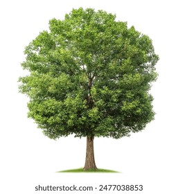 无限资源1页 无限资源1页