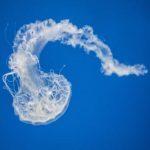 我的私人女教师在线观看 5de629hr