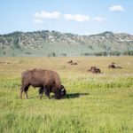 黄页网站免费频道大全 6ak7d2ogx