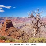 大米星球在线观看,大米星球视频 6c4ujs