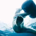 手机免费AV片在线看 6k8i3