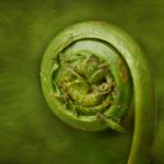 小草免费观看在线播放 7itobohj