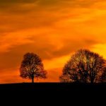 特大毛BBW 9i5vtai