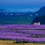 你的水这么多了确定不要吗 b5orglcz