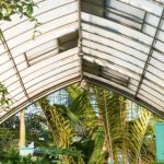 成·人免费午夜视频含羞草 dc5kei5s3m