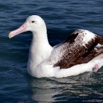 新欧美三级经典在线观看 e3kkqsp