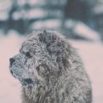 宝宝我们好久没做了视频 fwurhx