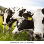 天天看片 gestnjvs9v