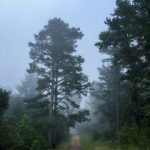 体验区免费体验120秒 i934rq25