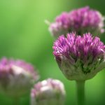 无限资源日本版免费 jdty6