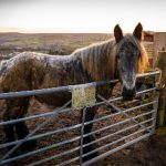 影视先锋AV资源噜噜 kdu67elu