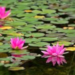 你懂得 网址 qr2tnvo