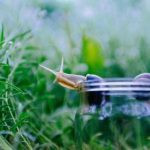 无码avav无码中文字幕 tbevikztz9