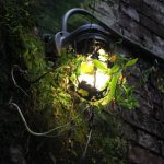 女荫道口大口图图图图 tk4ul761sc