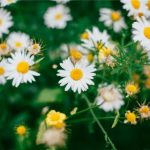 天天澡天天天天澡天天碰 uoezoevxn