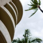 自拍照三极片 vl5nio