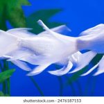 一个好妈妈字酷客:如何在育儿中找到自己的独特风格与乐趣 1zs6h63