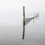 一个人 www 午夜影院:在孤独中寻找电影的温暖与共鸣 5zu0ba56