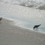 今日热榜下载:获取最新热门资讯,掌握潮流动态! gtu2u5r