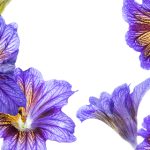 syke meaning slang:揭示“syke”在现代俚语中的深层含义与用法 oqd1g7wg05