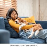 sxs中文名:探索sxs的中文名称及其背后的意义与影响 tgn8v1vzbd